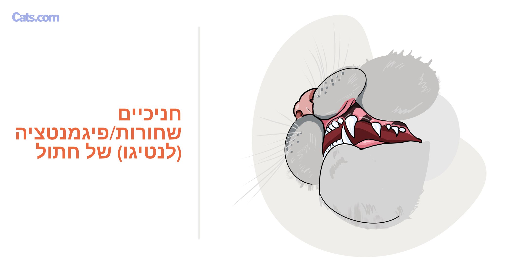 שחור/פיגמנטציה (לנטיגו)