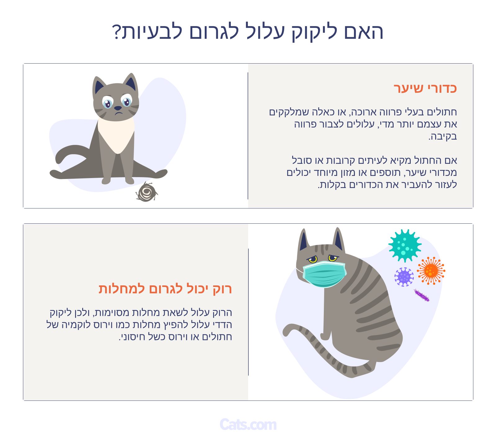 האם טיפוח יכול לגרום לבעיות בחתולים