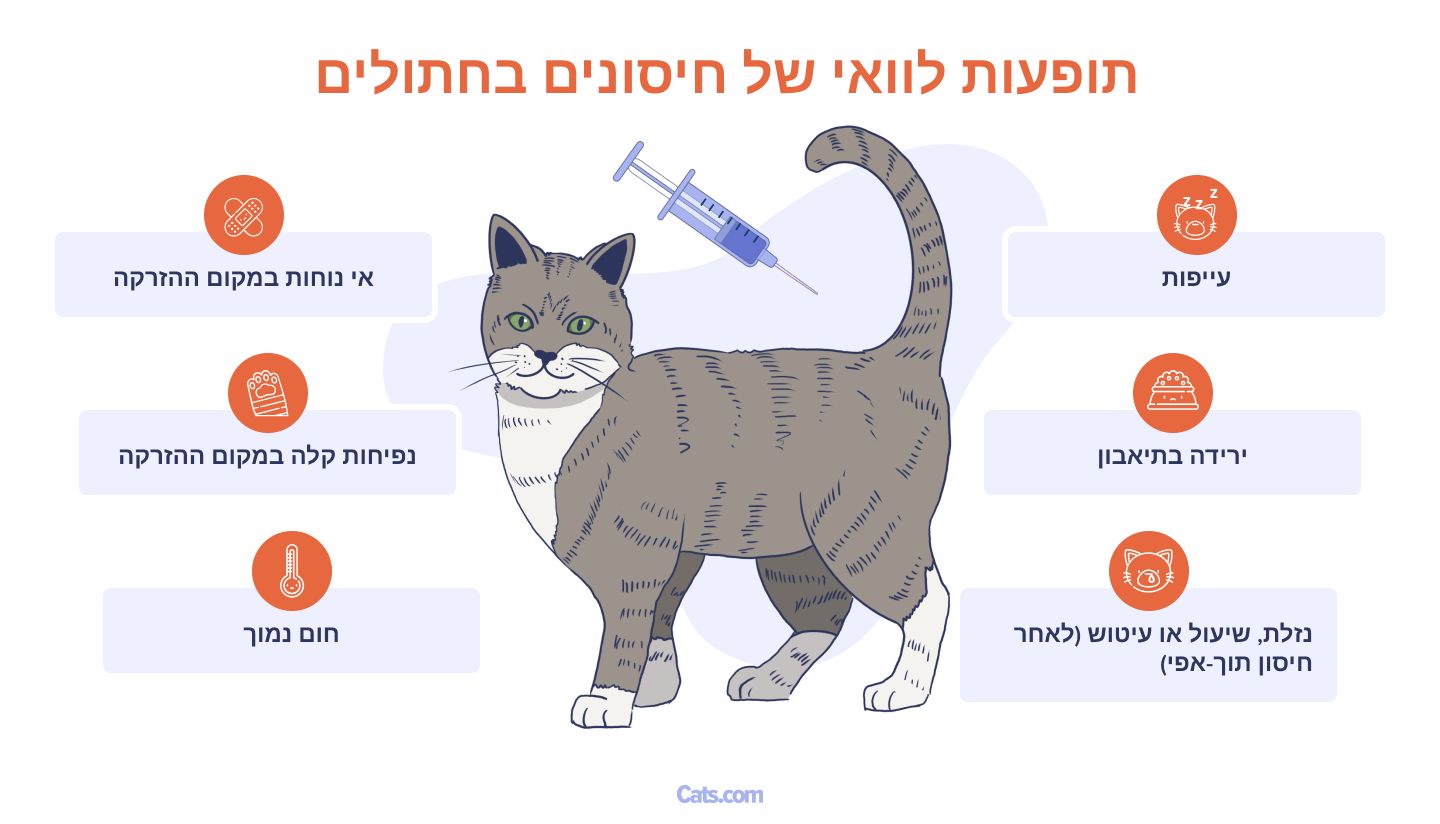 תופעות לוואי של חיסון חתולים