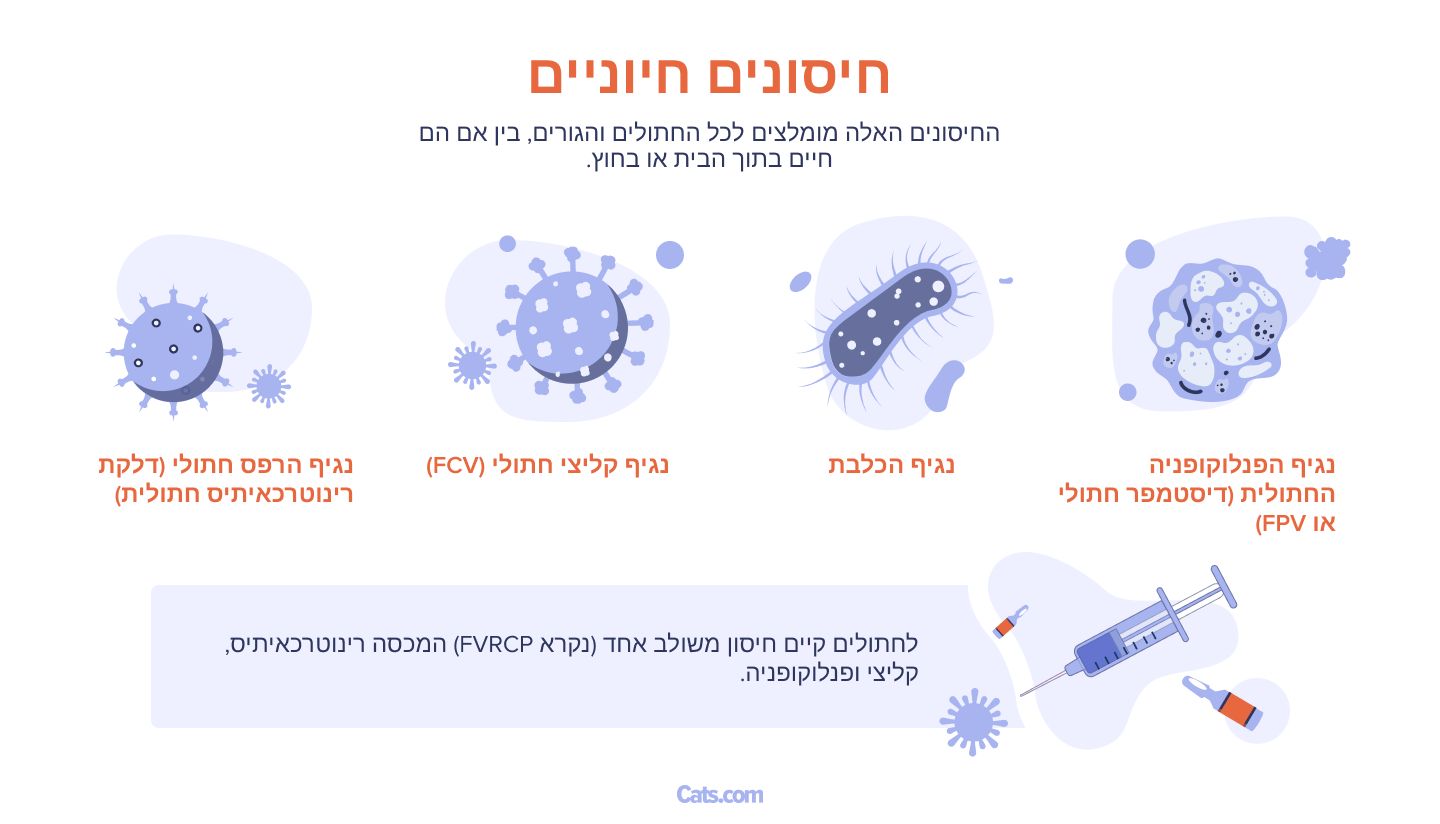 אילו חיסונים צריכים חתולים?