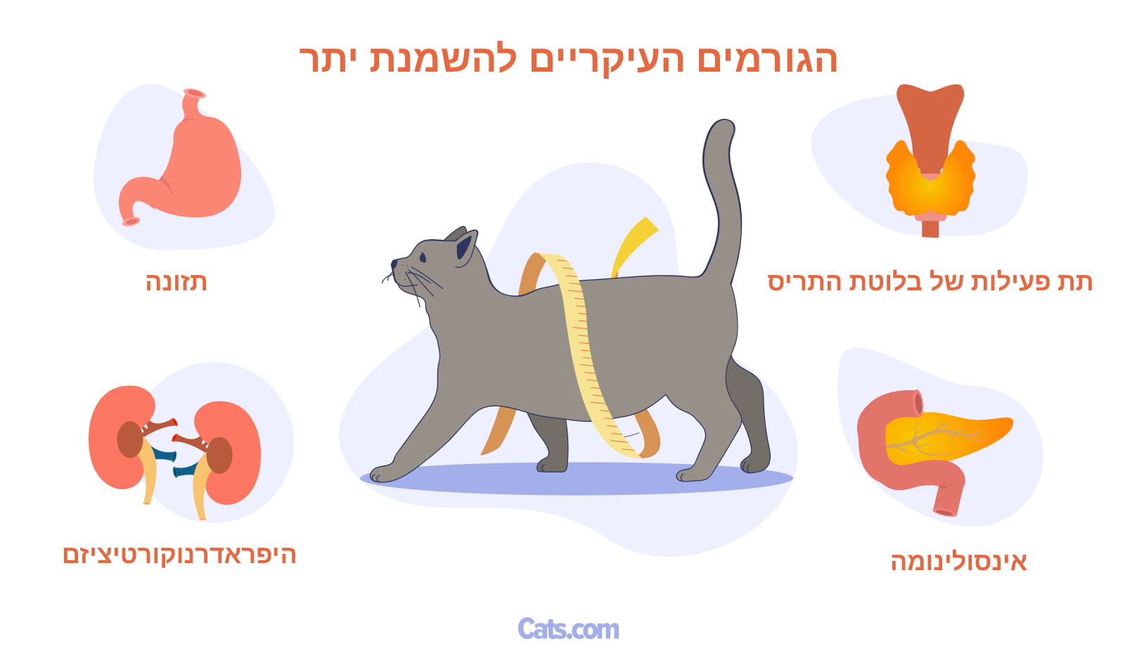 גורמים