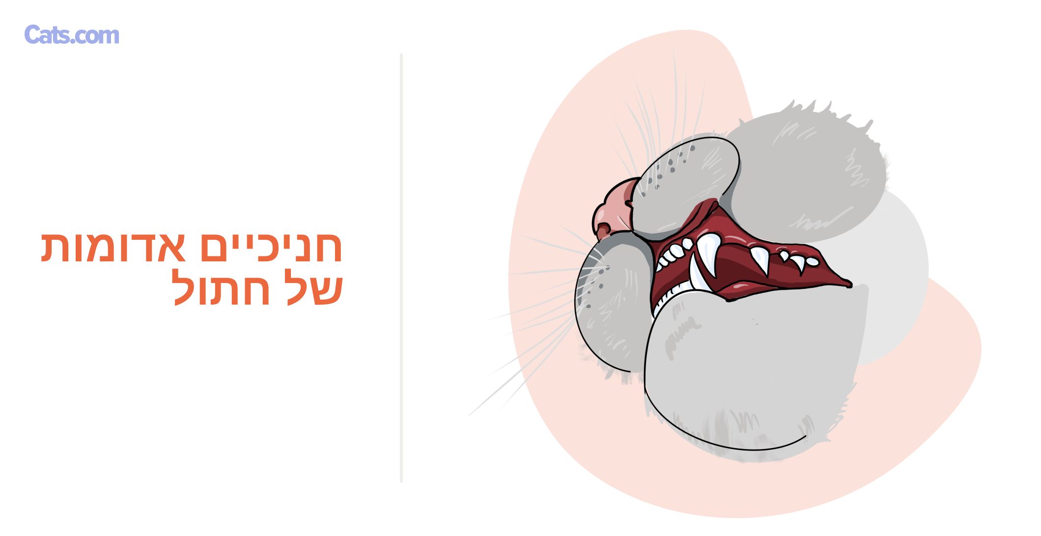אדום