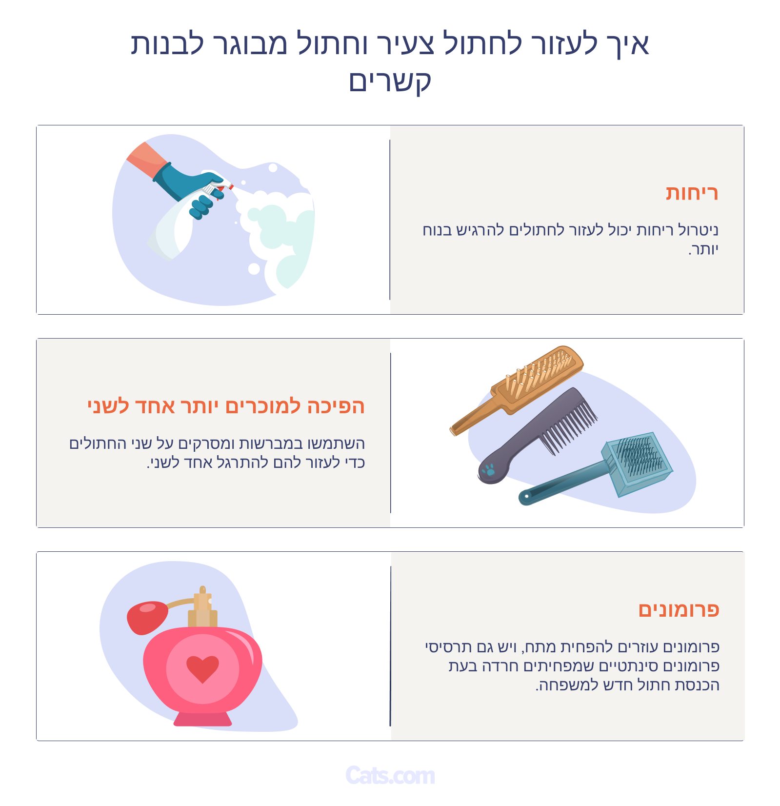 סימני התקשרות בחתולים.