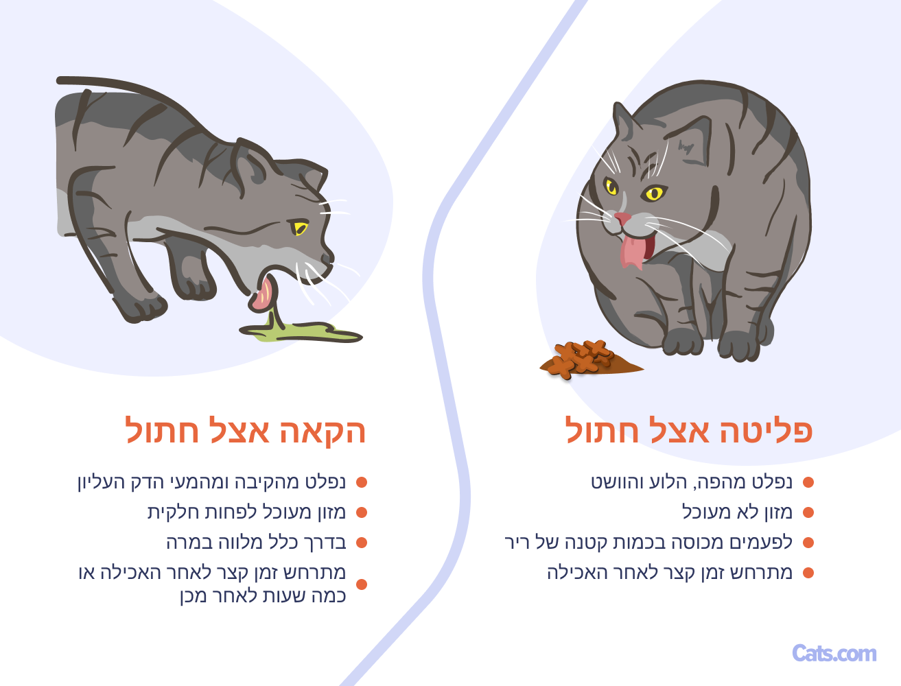 הקאות לעומת רגורגיטציה: איזה מהם אני רואה?