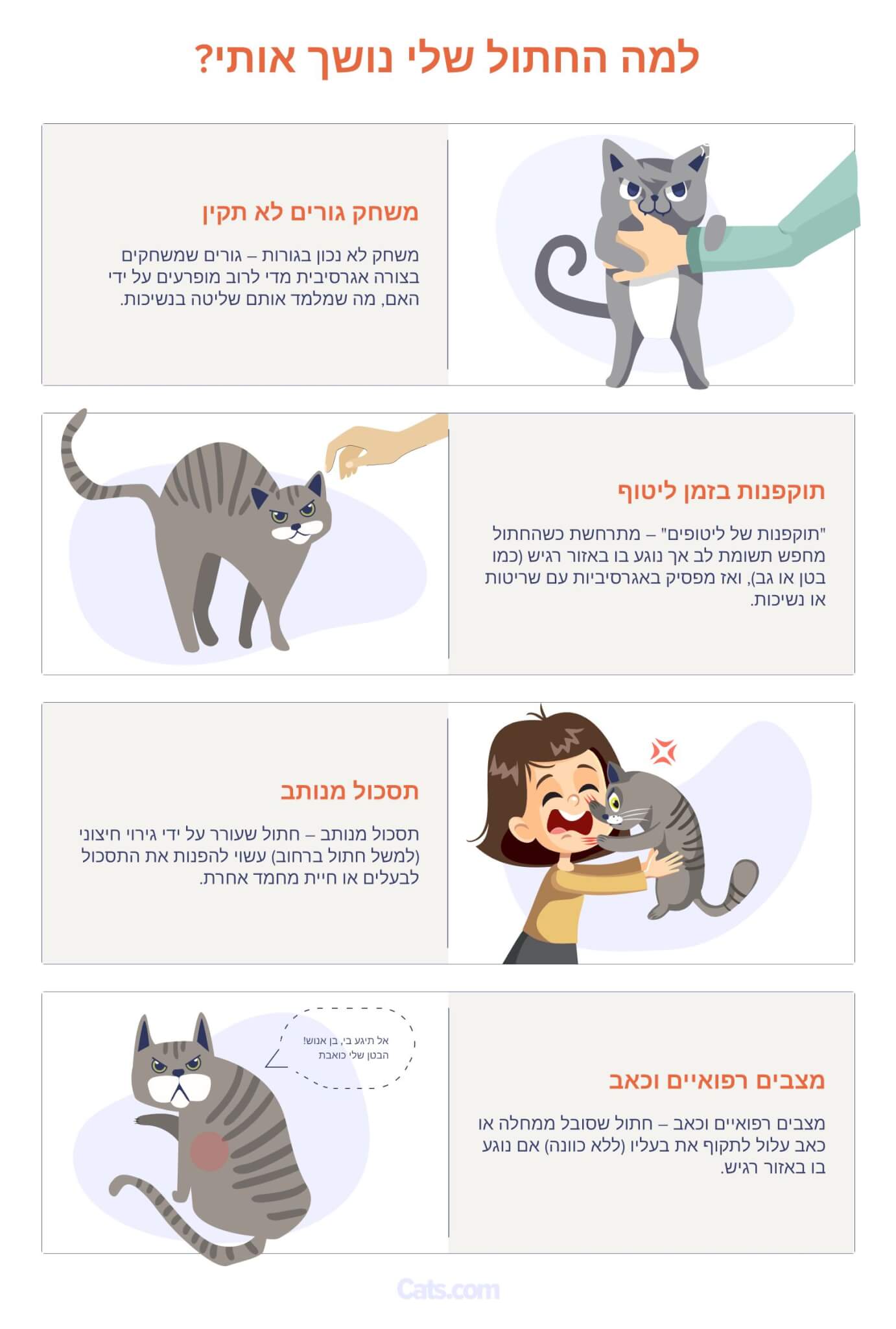 מה לעשות אם החתול שלך נושך אותך?