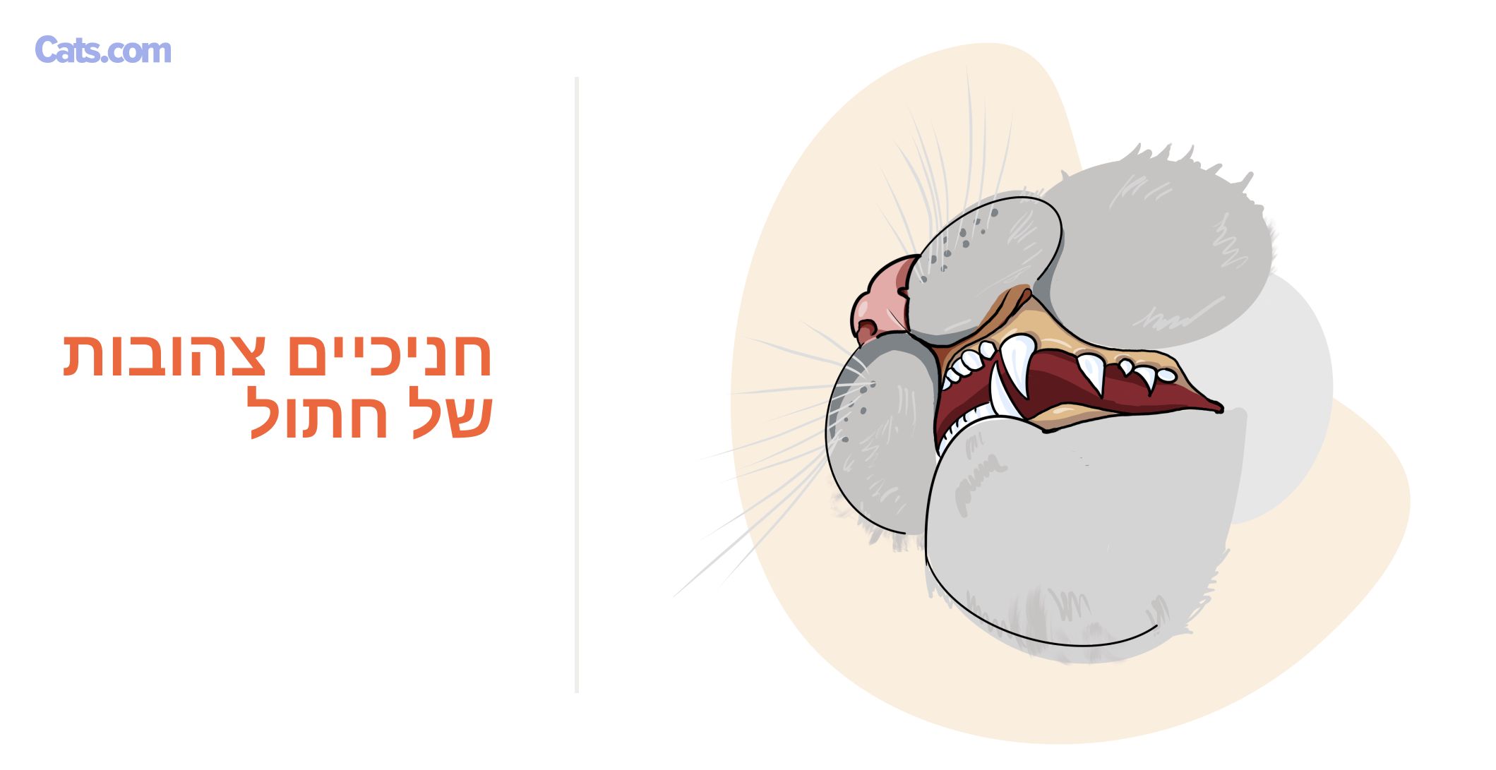 צהוב